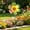 Multicolor Size G6, variant on EDHITNR Colorful Sunflower Windmill Children Handheld Decorative Wooden Pole Outdoor Garden Layout Kindergarten