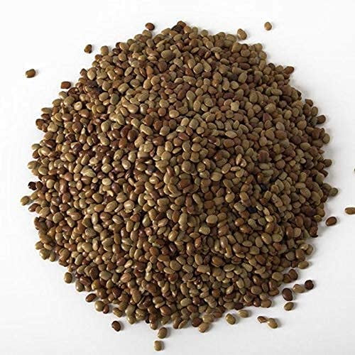 NY SPICE SHOP Horse Gram Lentils Indian Kulthi Beans 5lbs