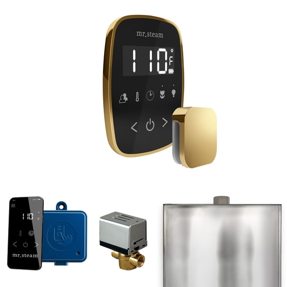 Mr Steam ButlerFlex Steam Shower Ctrl Pkg w/TempoFlex Control and Steamhead in Black Polished Brass
