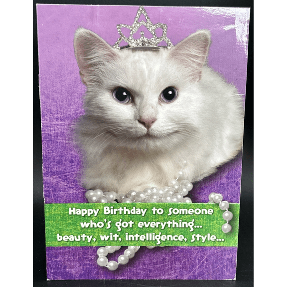 Happy Birthday (Princess Cat) Greeting Card w/Envelope