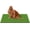 59" x 36", variant on Grass for Dogs, Artificial Turf Grass Indoor Outdoor, Mat for Dogs Soft , Cesped Artificial for Patios, Astro Turf for Balcony, Quick Clean, Easy Rinse Patio Rug, 29.5"x17"