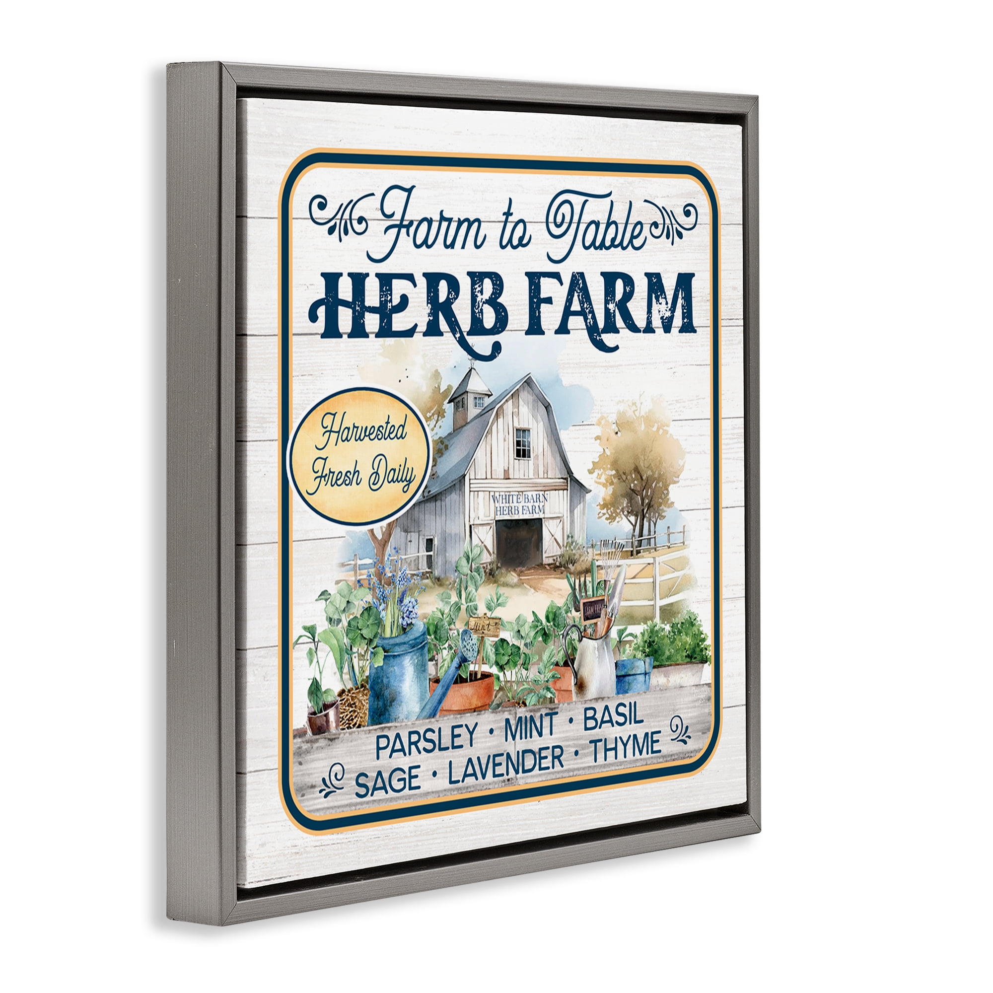 Stupell Industries Fresh Daily Herb Farm Text & Numbers Painting Gray Floater Framed Canvas Art Print Wall Art, 18 x 18