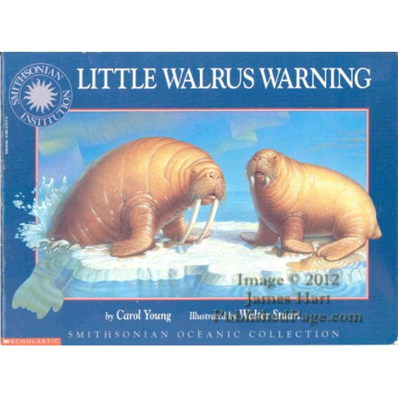 Pre-Owned Little Walrus Warning (Paperback) 0590372114 9780590372114