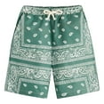 thumbnail image 1 of Men's Boho Drawstring Waist Paisley Print Summer Beach Swim Board Shorts Comfortable Lightweight Swimwear, 1 of 2