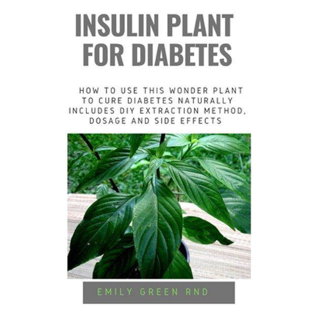 Insulin Plant for Diabetes How to use this wonder plant
