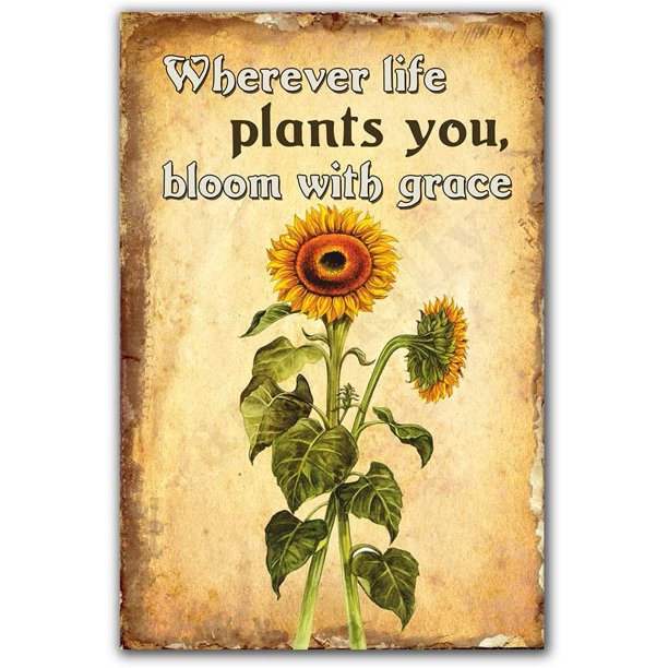 Sunflower Signs Wherever Life Plants You Bloom With Grace Sunflowers Retro Vintage Metal Tin Sign Home Kitchen Bedroom Hotel Restaurant Wall Art Decor Signs 12x8inches Walmart Com Walmart Com