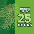 thumbnail image 5 of Coleman Repellents Pine Citronella Candle, 6 oz., Silver, 5 of 6