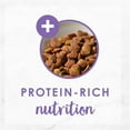 thumbnail image 2 of Purina Fancy Feast Dry Cat Food, Savory Chicken & Turkey, Contains Essential Vitamins & Minerals, Gourmet Cat Food for Adult Cats, 16 OZ Bag (Pack of 4), 2 of 8