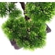 thumbnail image 4 of Decoración de árbol bonsái artificial ZHCH pino japonés en maceta 33 cm, 4 of 4