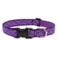 thumbnail image 1 of Collar grande para perros LupinePet, 2,5 cm de ancho, 41-71 cm, ajustable, 1 of 3