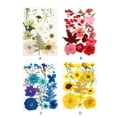 thumbnail image 4 of Dried Flowers Set Tools Makeup Real Flower Decal Handicraft Materials Colorful Pressed Specimen Label Art Decorations Red, 4 of 6