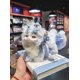 thumbnail image 5 of Figura de peluche de la serie "Fiesta del Té Biológica del Bosque de Fantasía" de Conejo y Dragón en Caja Sorpresa, Muñeca de Juego de Moda, Decoración, Lindos Regalos Creativos, 5 of 6