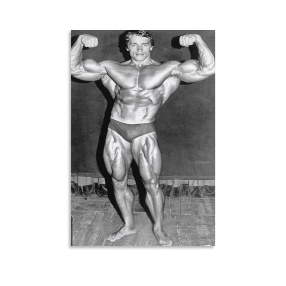 Arnold Schwarzenegger POSTER Canvas Poster Wall Art Picture Prints Hanging Photo Gift Decor Home Posters Artworks 24x36inch(60x90cm)