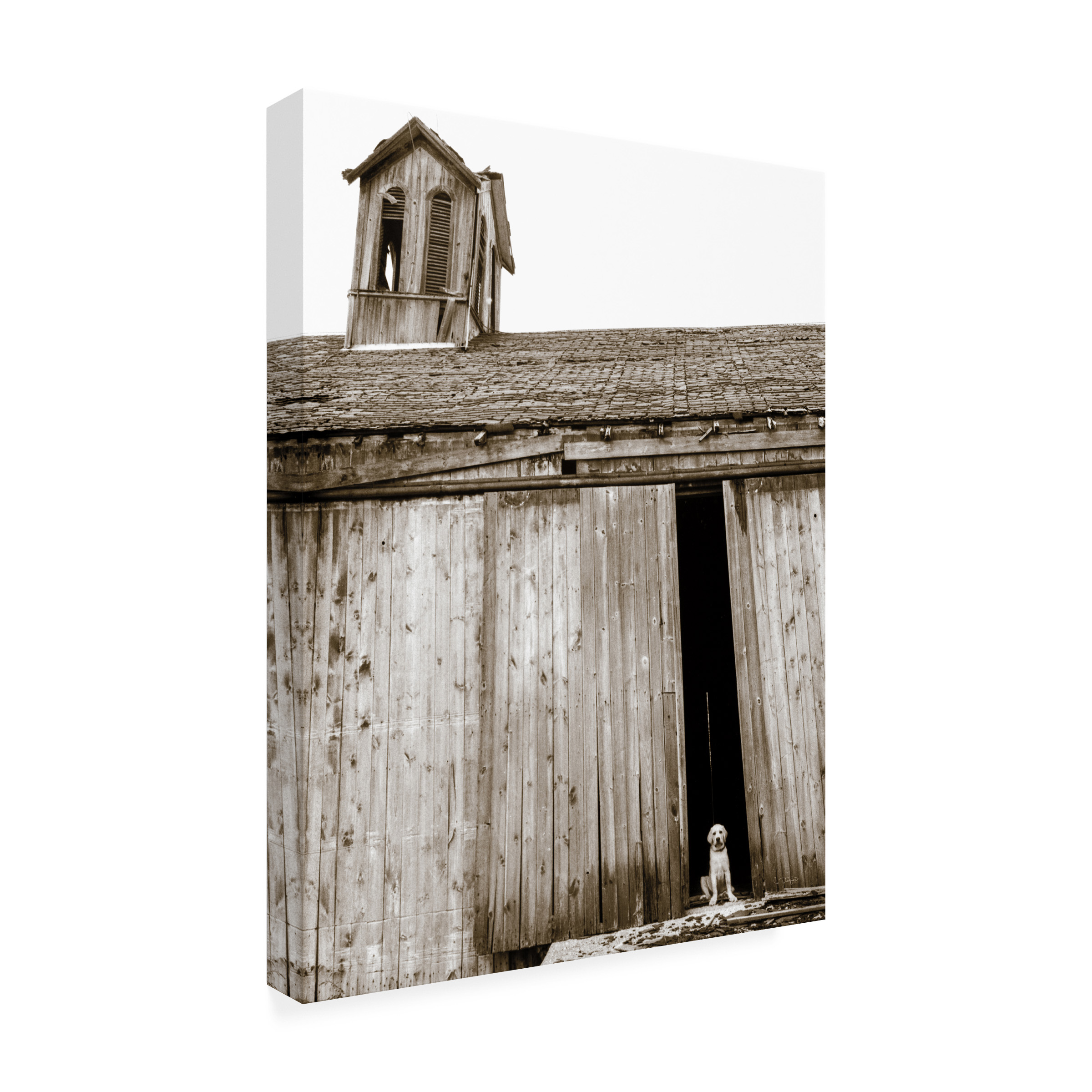 Trademark Fine Art 'Barnyard Dog' Canvas Art by Jim Dratfield
