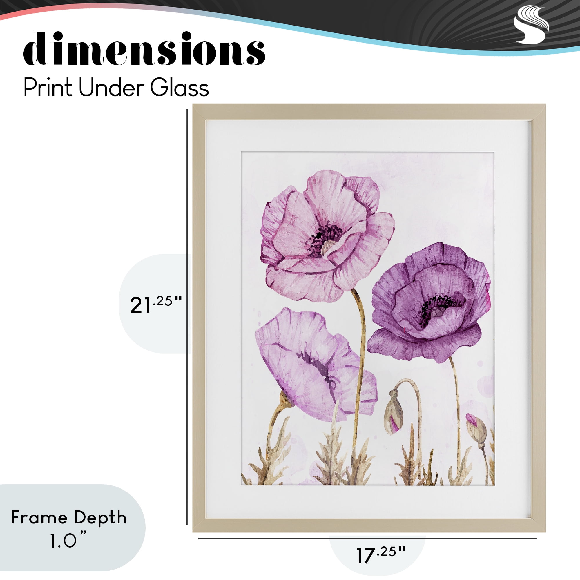Stupell Industries Bright Poppies in Purple Birch Framed Print Under Glass, design by Kim Allen