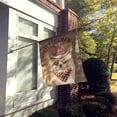 thumbnail image 2 of Carolines Treasures CK6349CHF Pomeranian 2 Country Dog Flag Canvas House Size  Large multicolor, 2 of 4