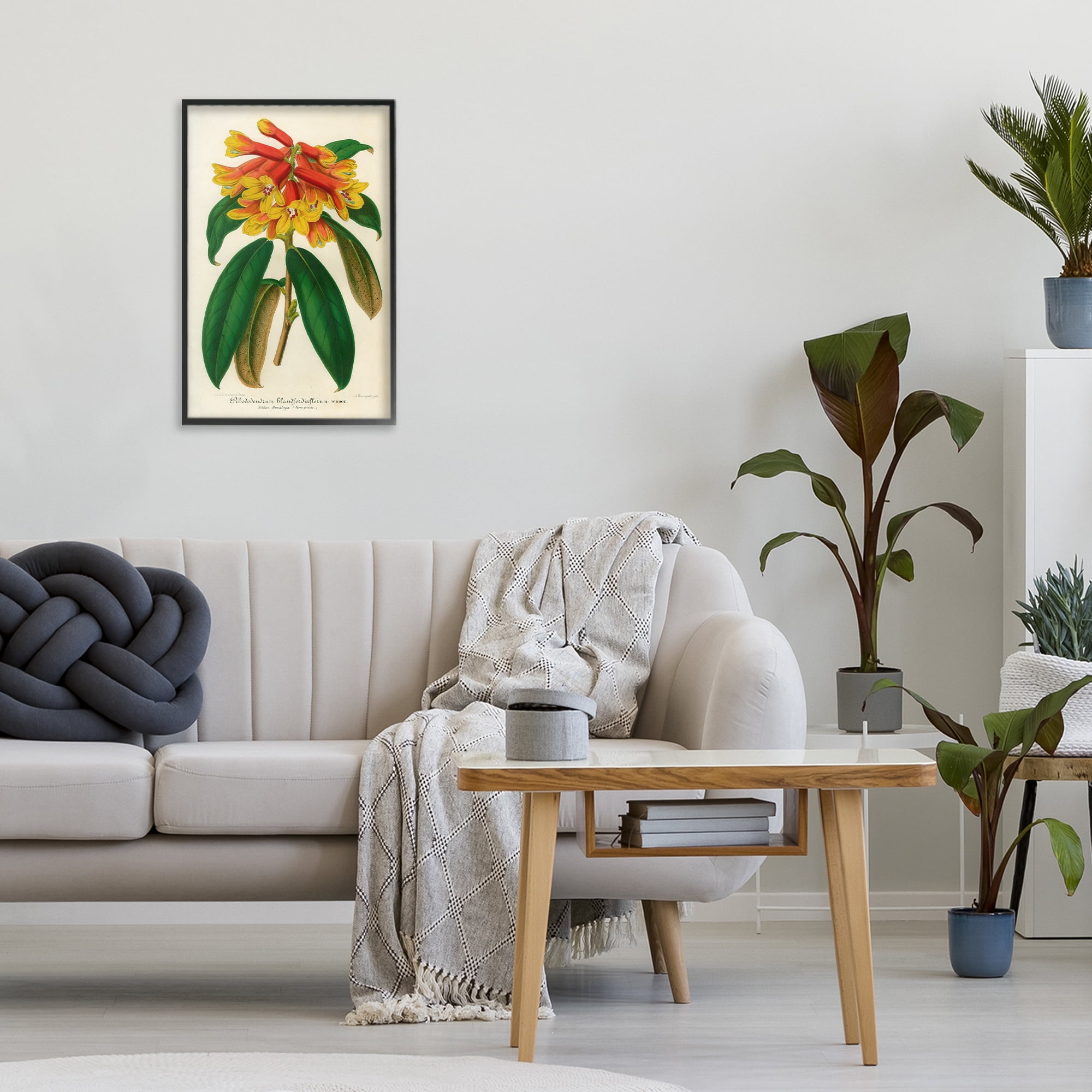 Stupell Industries Orange Yellow Rhododendron Black Framed Giclee Art, design by Print Collection