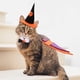 thumbnail image 3 of 1 juego de collar para perro de Halloween, disfraz para mascota, alas para decoración, 3 of 5