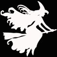 thumbnail image 1 of LEEYNEER Witch on Broomstick Halloween Car Vehicle Reflective Decals Sticker Decoration, 1 of 7