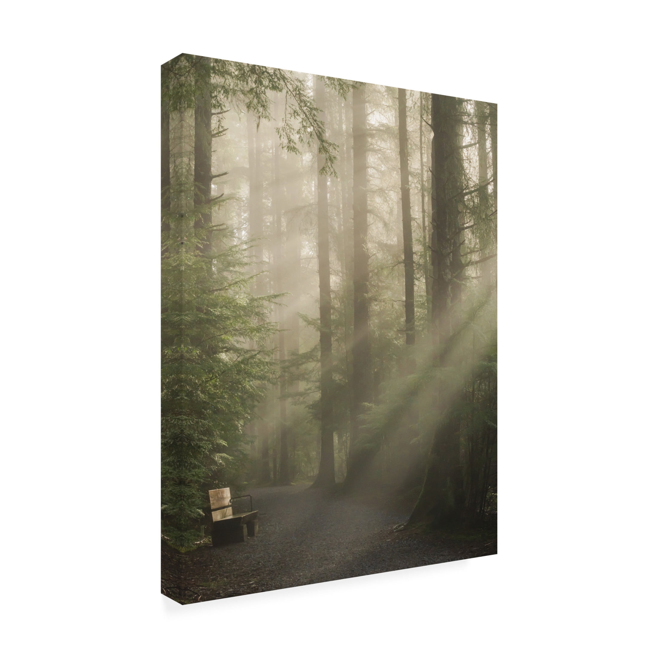 Trademark Fine Art Misaki Saito KomorebiaAeUae&Frac14;AAeY Canvas Wall Art