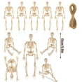 thumbnail image 3 of 10 Pack Skeleton Decorations, Articulated Posable Skeletons With Movable Joints, Perfect For Party Bar Haunted House Backroom Atmosphere Creation, 3 of 5