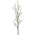 thumbnail image 1 of Vickerman 47" Artificial Cream Plum-Blossom Stem, 1 of 3