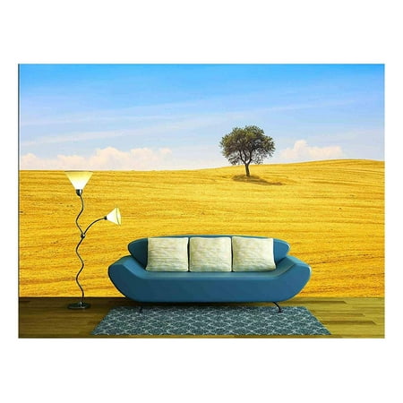 wall26 - Tuscany Country Landscape, Olive Tree and Green Fields Montalcino, Italy, Europe - Removable Wall Mural | Self-Adhesive Large Wallpaper - 66x96