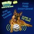 thumbnail image 2 of Juguete Interactivo Wobble Wag Giggle Brilla en la Oscuridad para Perro con Sonidos de Risa, 2 of 8