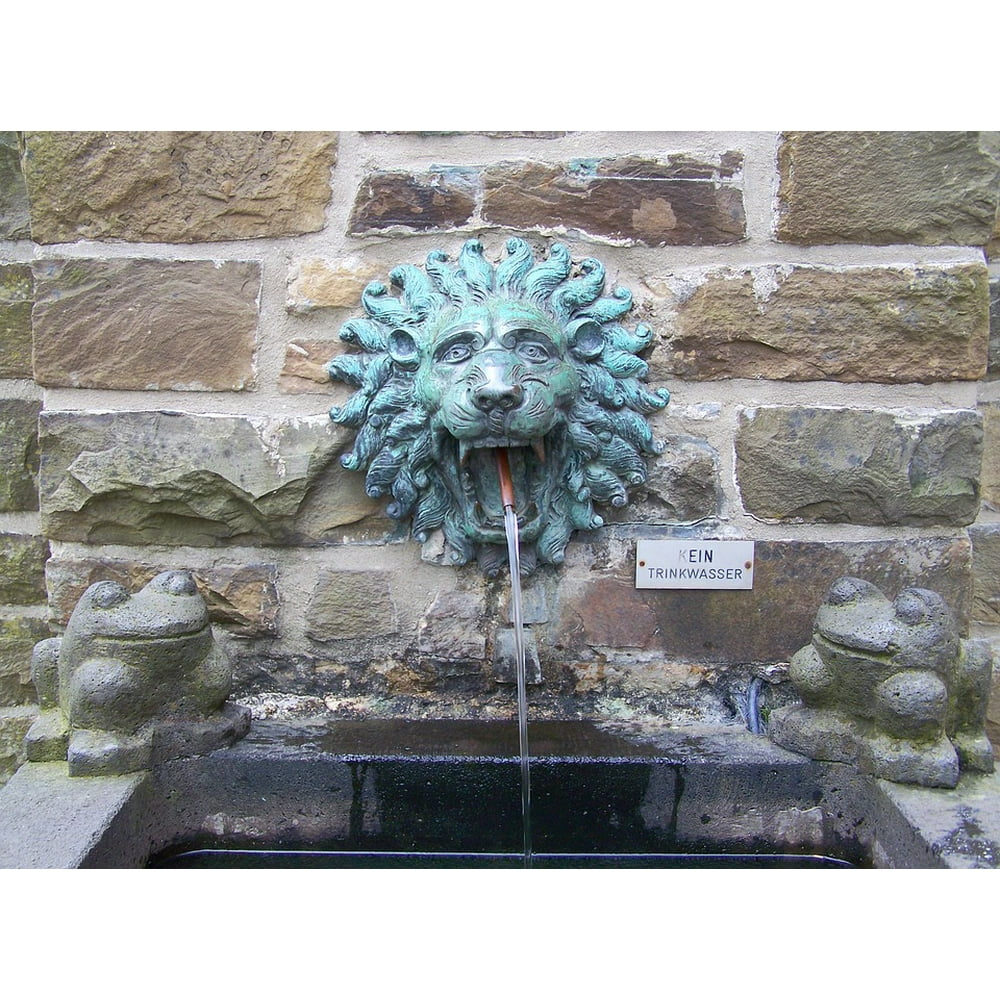 Lion Head Lion Pool Fountain Water Basin20 Inch By 30 Inch Laminated