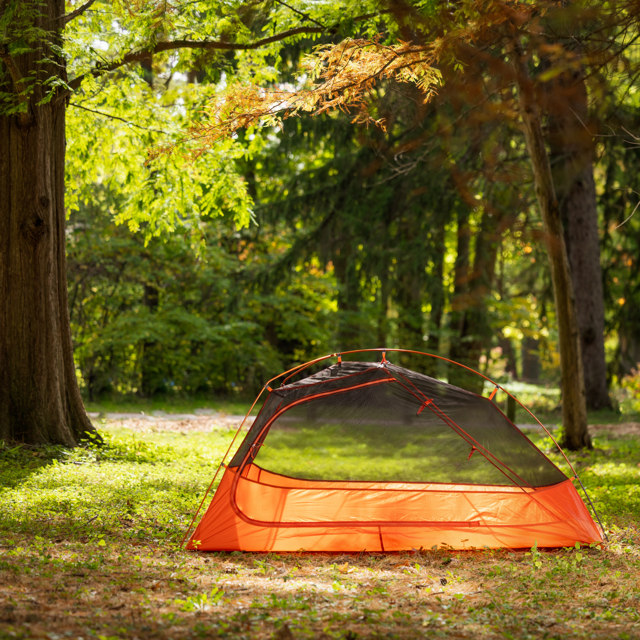 Carpa Ligera para Mochilero de 1 Persona Ozark Trail, 83 x 51 x 39 pulgadas, Peso de Carga 3.65 lb, Gris y Naranja 5