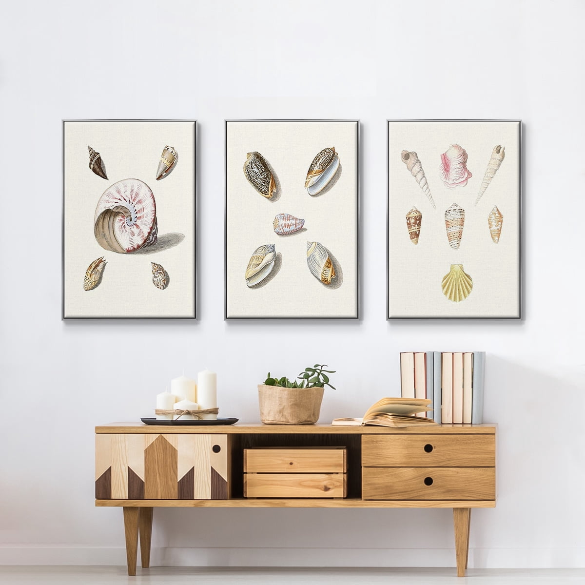 Pastel Knorr Shells I - Framed Premium Gallery Wrapped Canvas L Frame 3 Piece Set - Ready to Hang