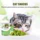thumbnail image 2 of Snack de menta para gatos de 50 g, sabor natural a hierba gatera, snack saludable para gatos P7E8, 2 of 8