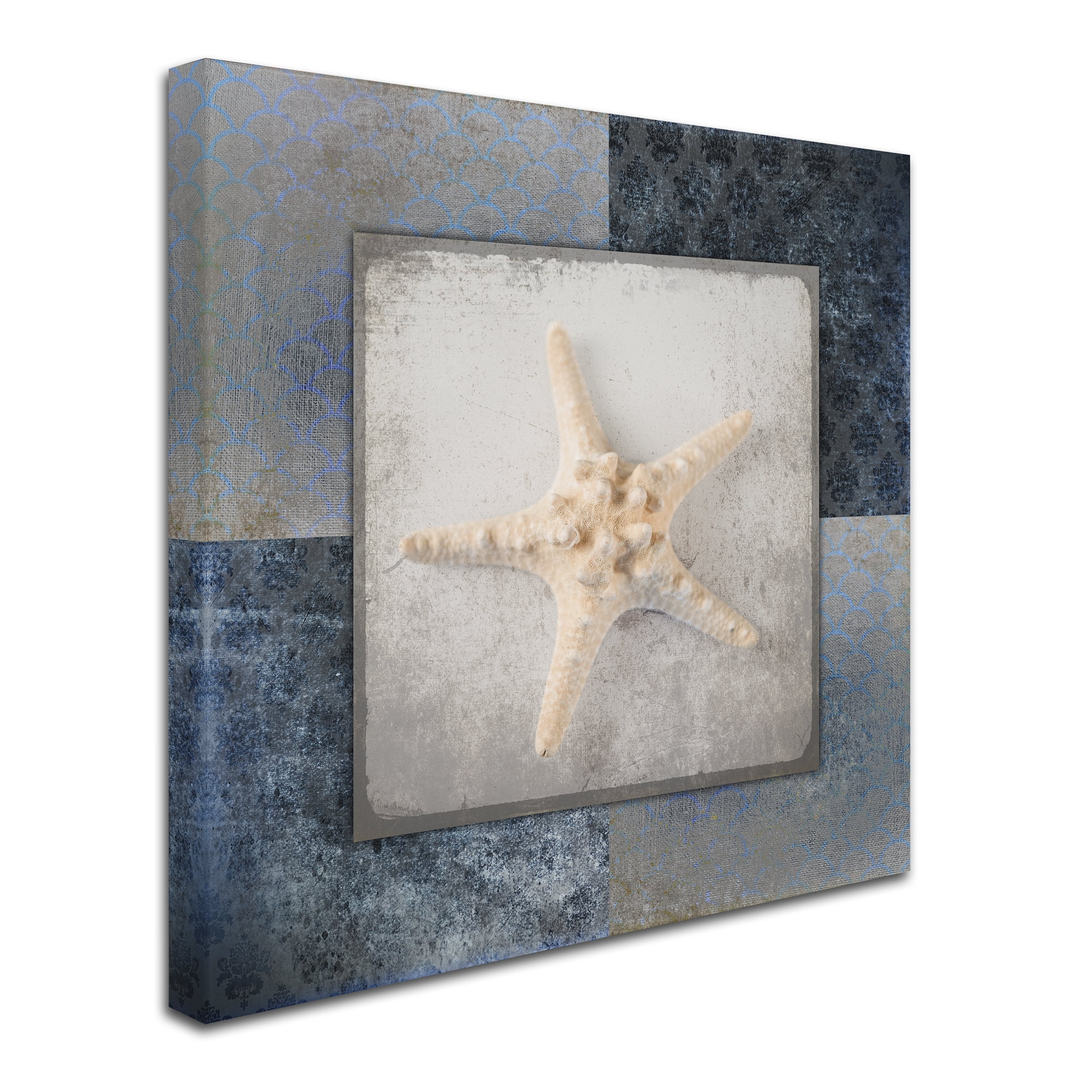 Trademark Fine Art 'Blue Star Fish 3' Canvas Art by LightBoxJournal