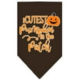 thumbnail image 3 of Halloween Pet and Dog Bandana Screen Printed, "Cutest Pumpkin In The Patch", 3 of 10