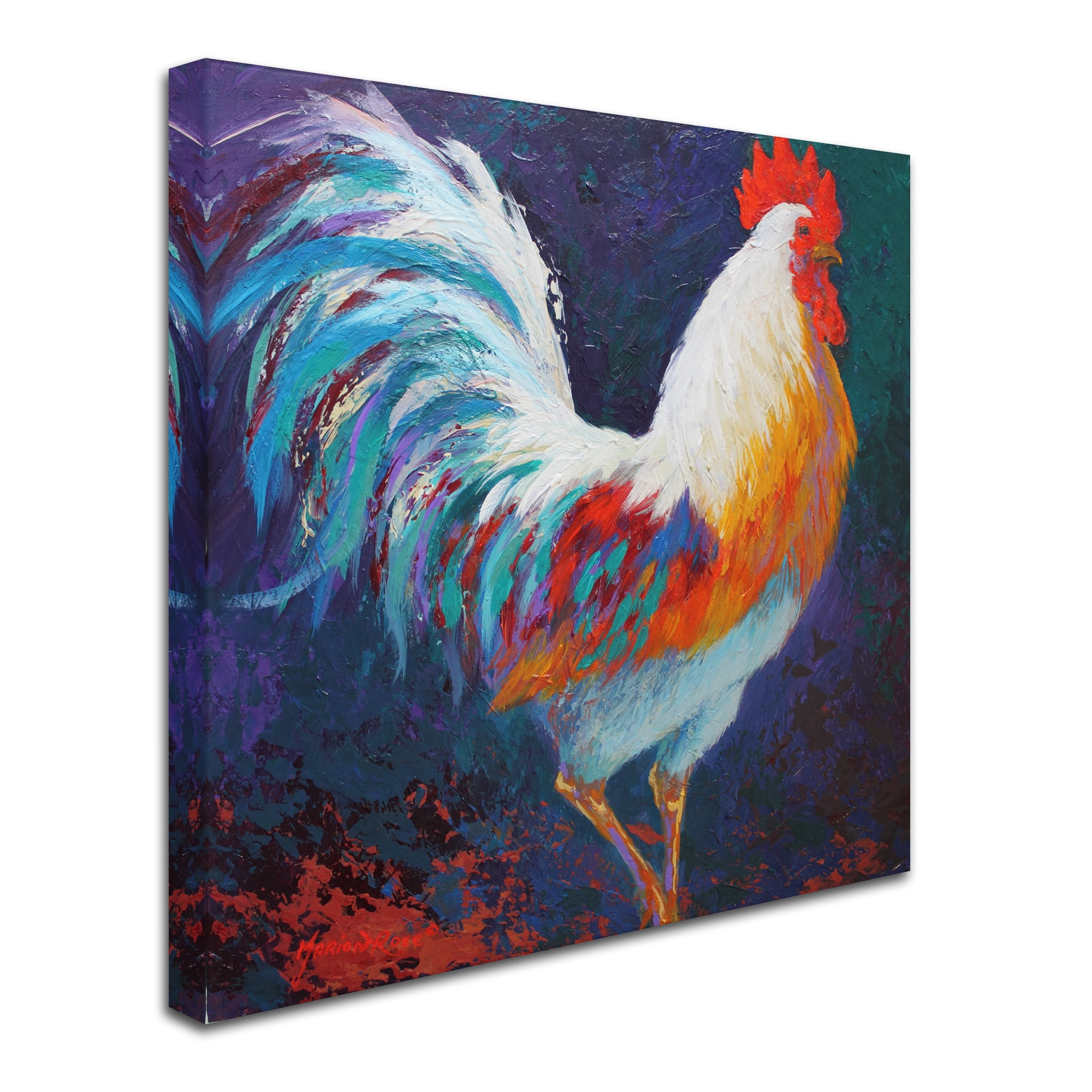 Trademark Fine Art 'Rooster' Canvas Art by Marion Rose