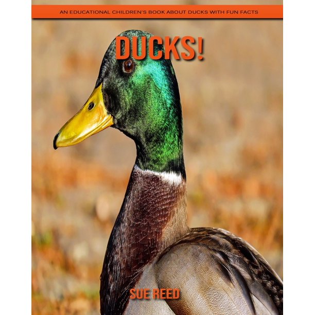 Ducks! An Educational Children's Book about Ducks with Fun Facts