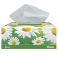 thumbnail image 4 of Pañuelos Kleenex manzanilla 100 hojas triples, 4 of 5