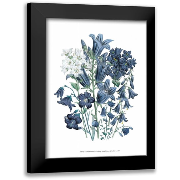 Loudon, Jane 11x14 Black Modern Framed Museum Art Print Titled - Loudon Florals III