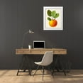 thumbnail image 3 of Vision Studio  12x14 White Modern Wood Framed Museum Art Print Titled - Antique Fruit I, 3 of 4
