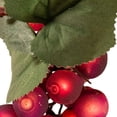 thumbnail image 3 of Kurt S. Adler UL 100-Light Grape Cluster Light Set, 30-inch Lead Wire, Multicolor, 3 of 8