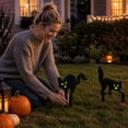 thumbnail image 6 of 2 Pack Halloween Decor Set, 4 Inch Black Spooky Ghost Glow in The Dark Yard Stake, Outdoor Halloween Decorations Yard for Lawn Porch and Haunted House Display, 6 of 8