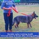 thumbnail image 4 of Correa de entrenamiento para perros Joefnel de nailon resistente y duradera, cuerda de tracción de 2,5 cm de ancho para perros pequeños, medianos y grandes., 4 of 5