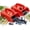 2Pcs, variant on Chamomile Harvester, Chamomile Picker, 2026 New Berry Picker, Ergonomic Flower Harvesting Rake for Lavender, Sweet Gum Tree Ball Picker Upper, Gentle Precision Picking for Home Gardeners (1Pcs)