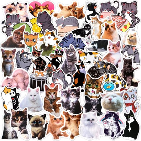 50 Pcs Cat Stickers Vinyl Waterproof Decals for Laptop Water Bottles ...
