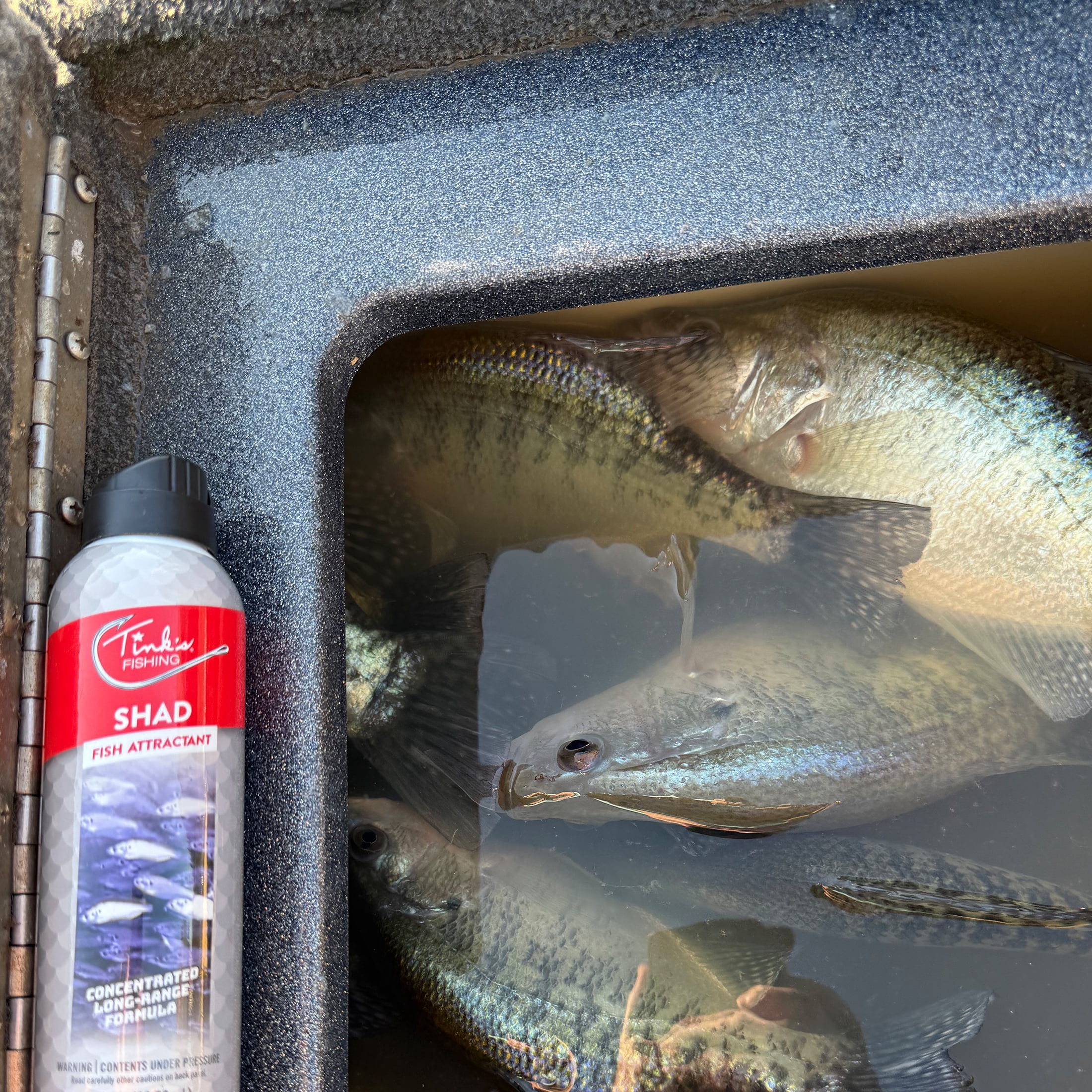 TINK'S SPRAY LURE SHAD 5 OZ