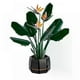 thumbnail image 1 of 2025 10289 Plant Series Bird of Paradise Artificial Flower Home Decoration, 1 of 5