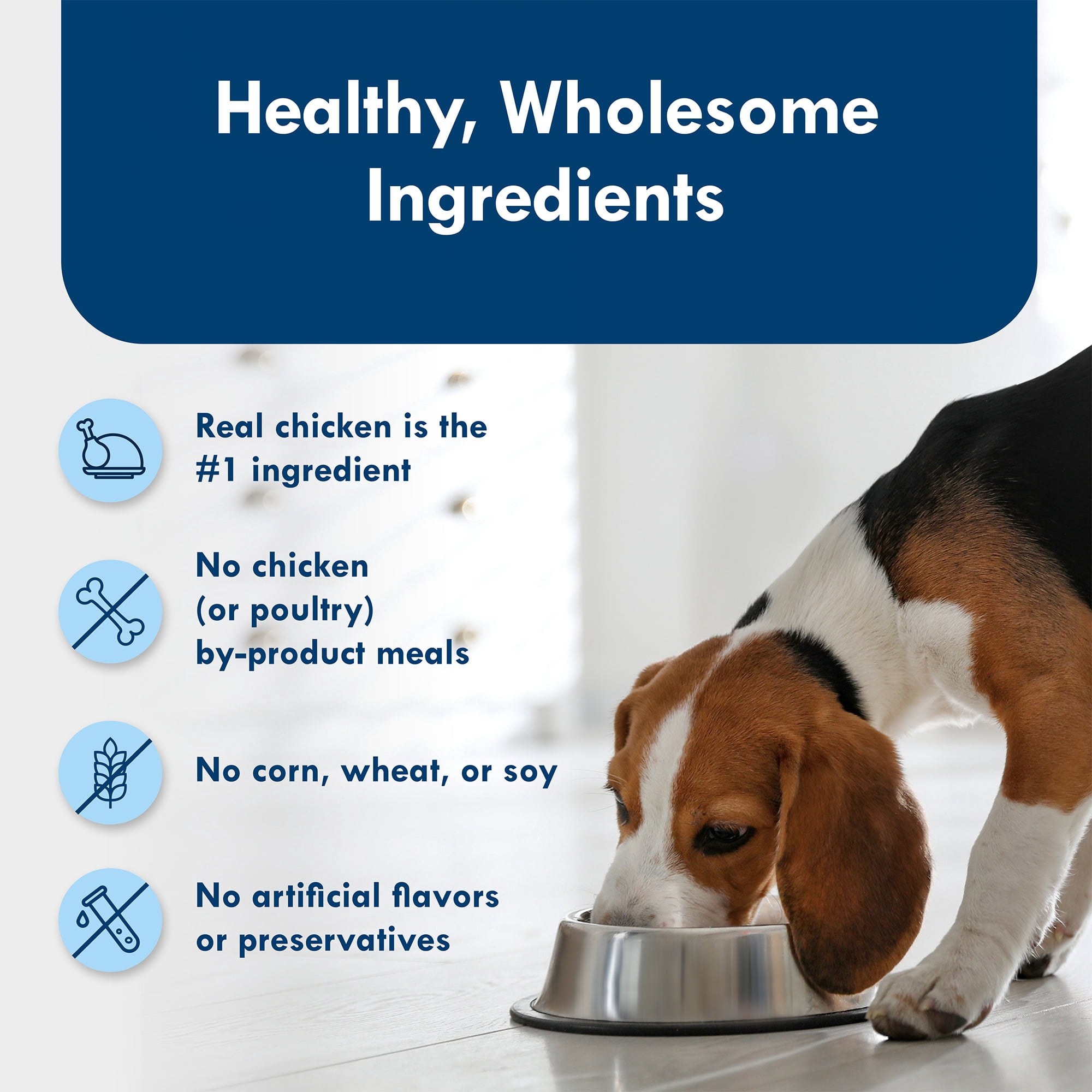 (6 pack) Blue Buffalo Delights Small Breed Roasted Chicken Flavor in Hearty Gravy Wet Dog Food for Adult Dogs, Grain-Free, 3.5 oz. Cup