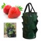 thumbnail image 1 of Bolsa de plantación de fresas 3L Bolsa de cultivo de flores de múltiples bocas Maceta (verde), 1 of 4