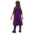 thumbnail image 3 of Disney Frozen 2 Girl's Anna Classic Toddler Halloween Costume, 3 of 4