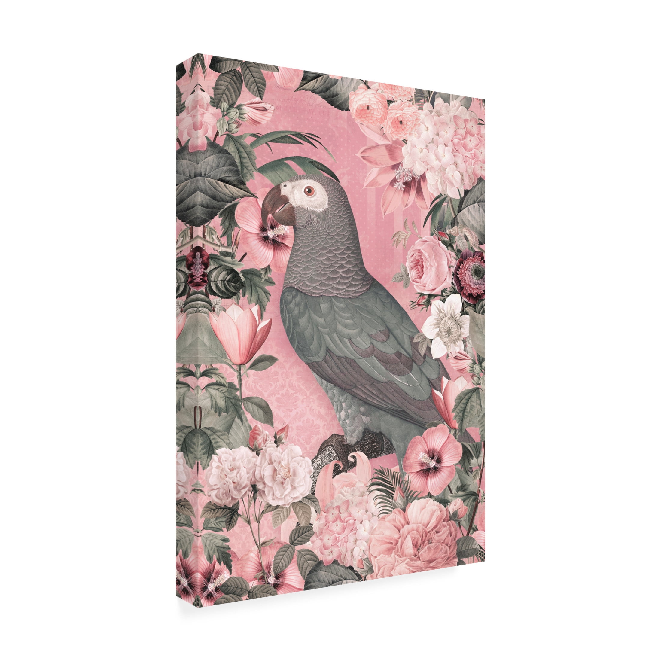 Trademark Fine Art Andrea Haase The Parrots Paradise Garden Pastel Pink Canvas Wall Art